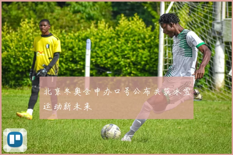 北京冬奥会申办口号公布共筑冰雪运动新未来