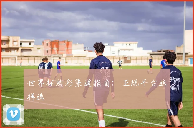 世界杯购彩渠道指南：正规平台这样选